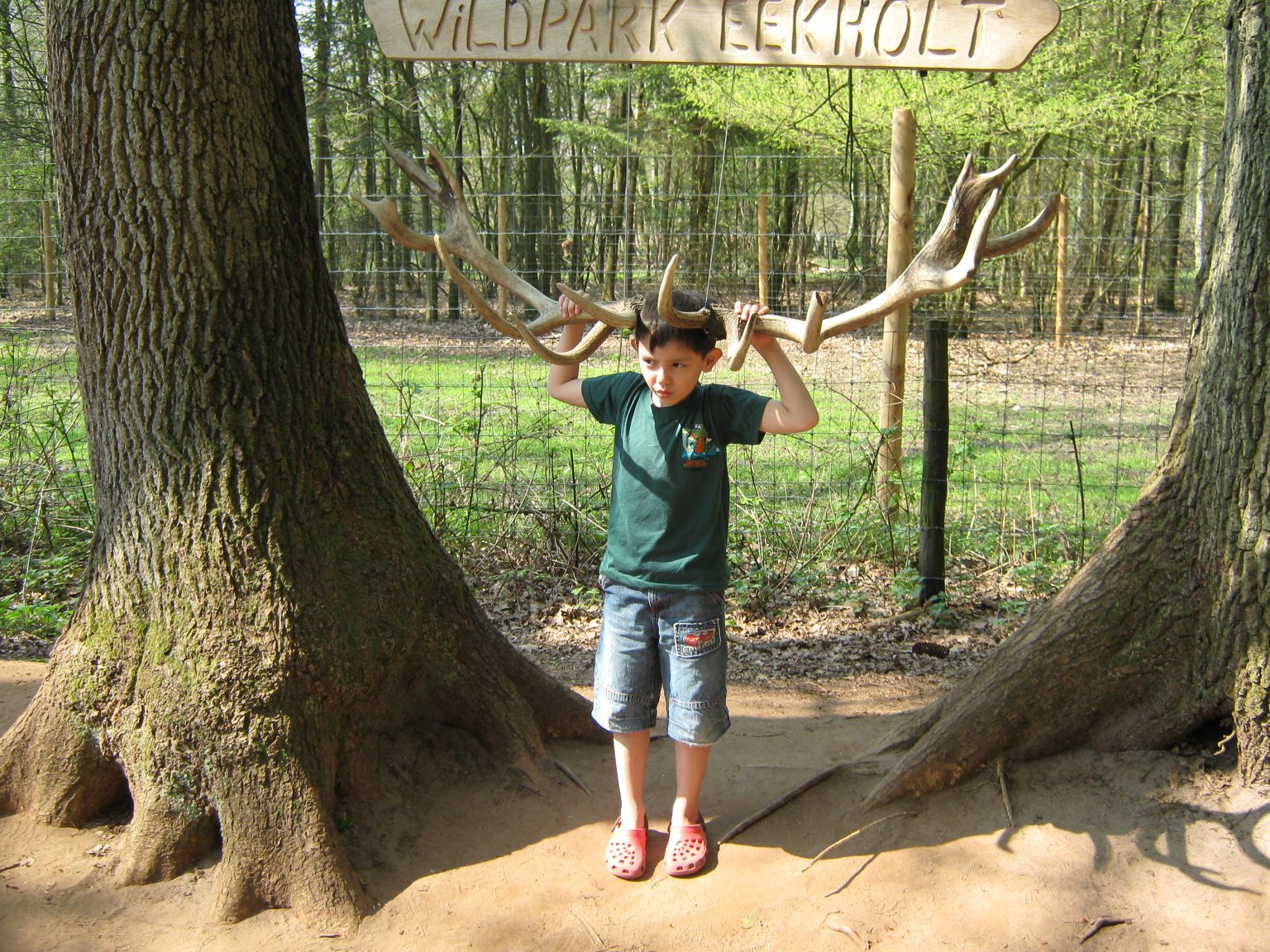 Sammy is trying to blend in with the local wildlife . . .