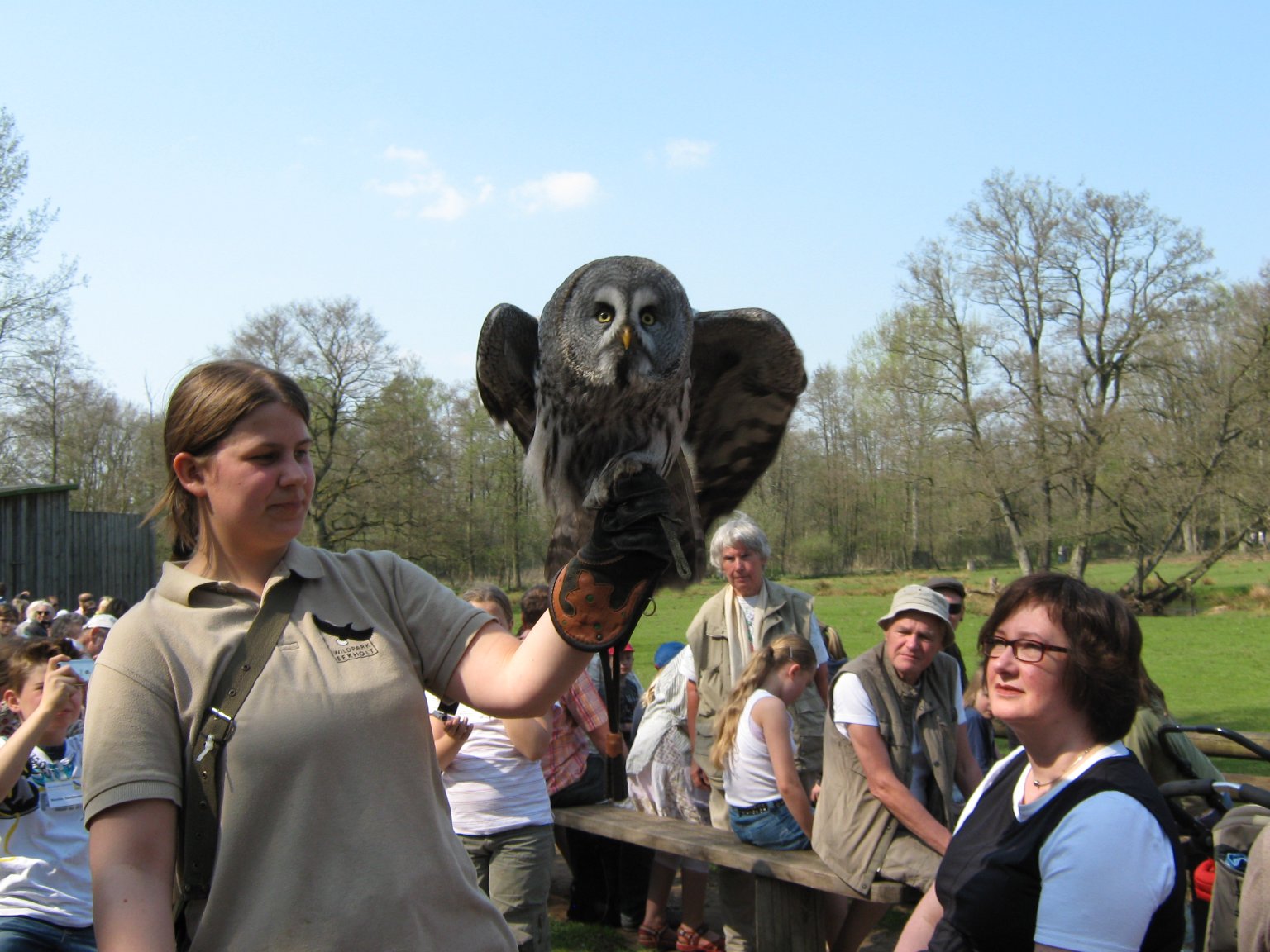 This owl is getting ready to give visitors a free flying display