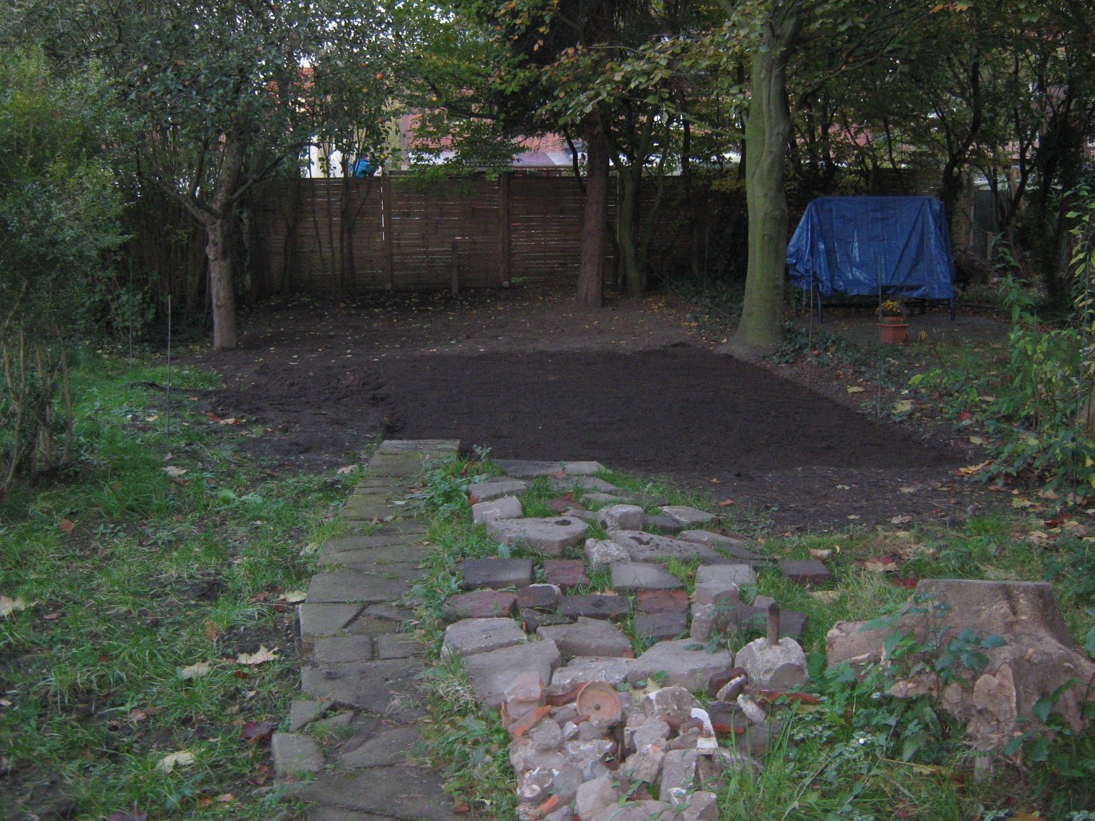 My growing collection of rocks etc.