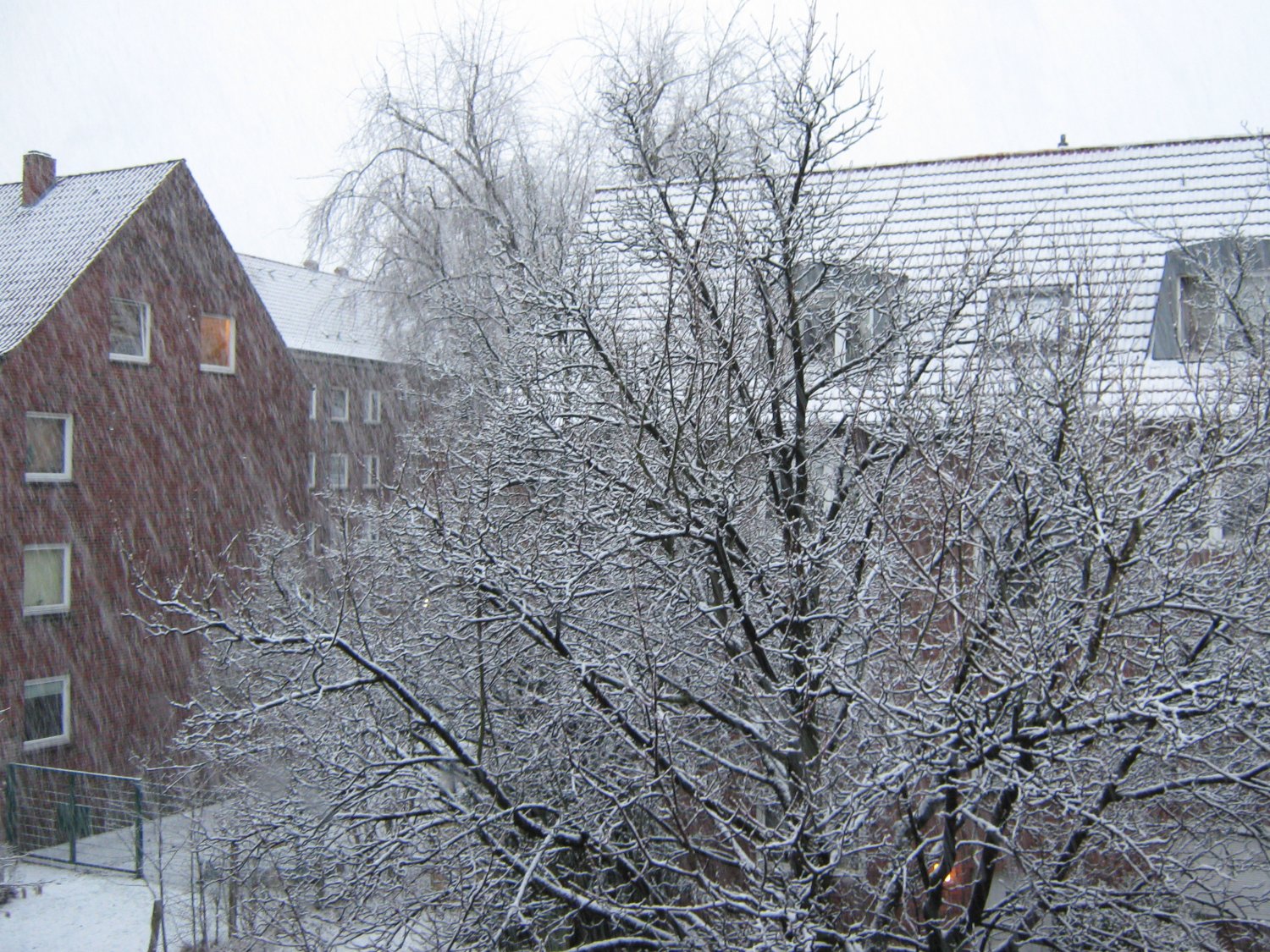 Winter snow, February 2013 . . .
