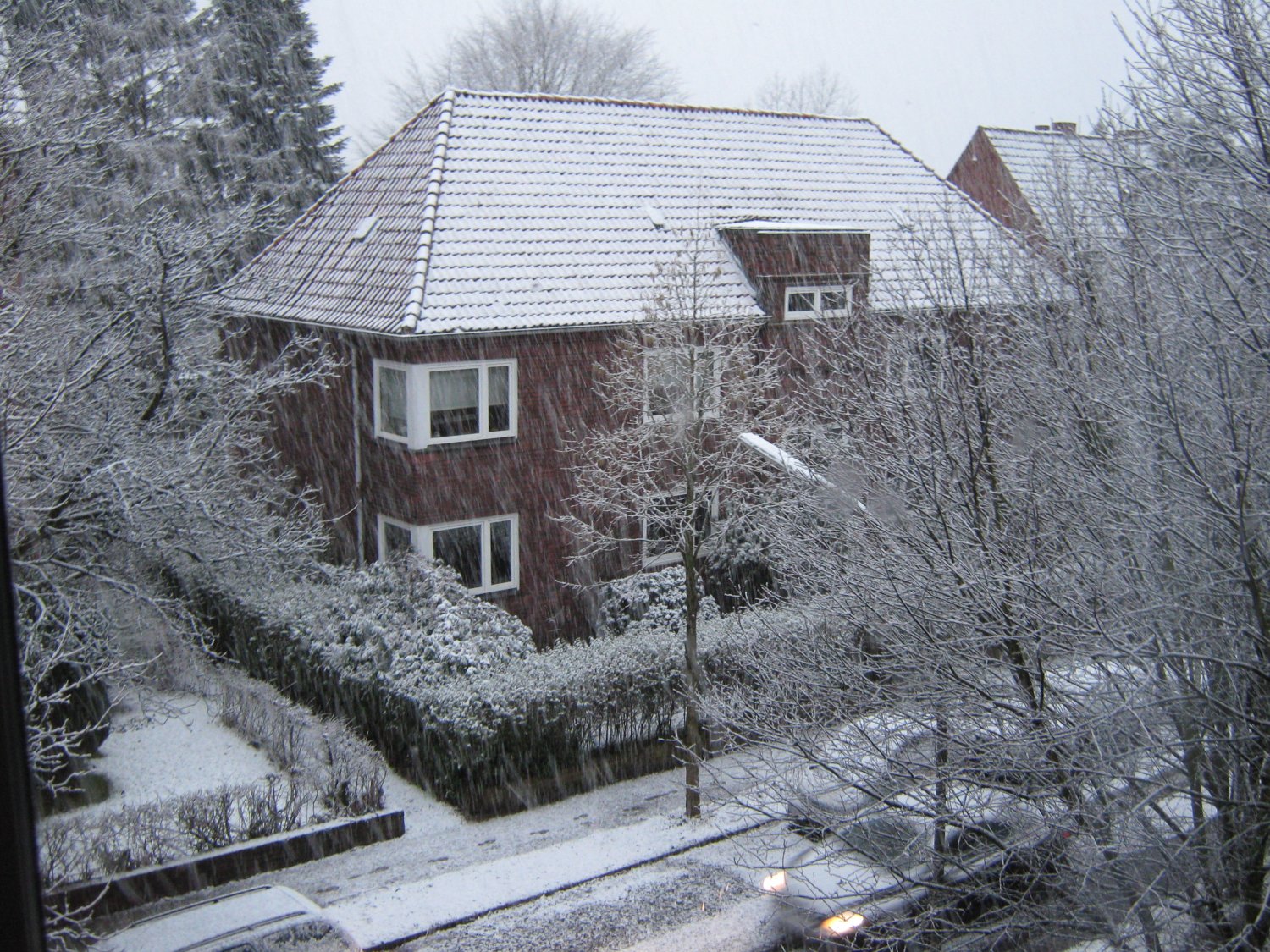 . . . the first (and last) snow of winter
