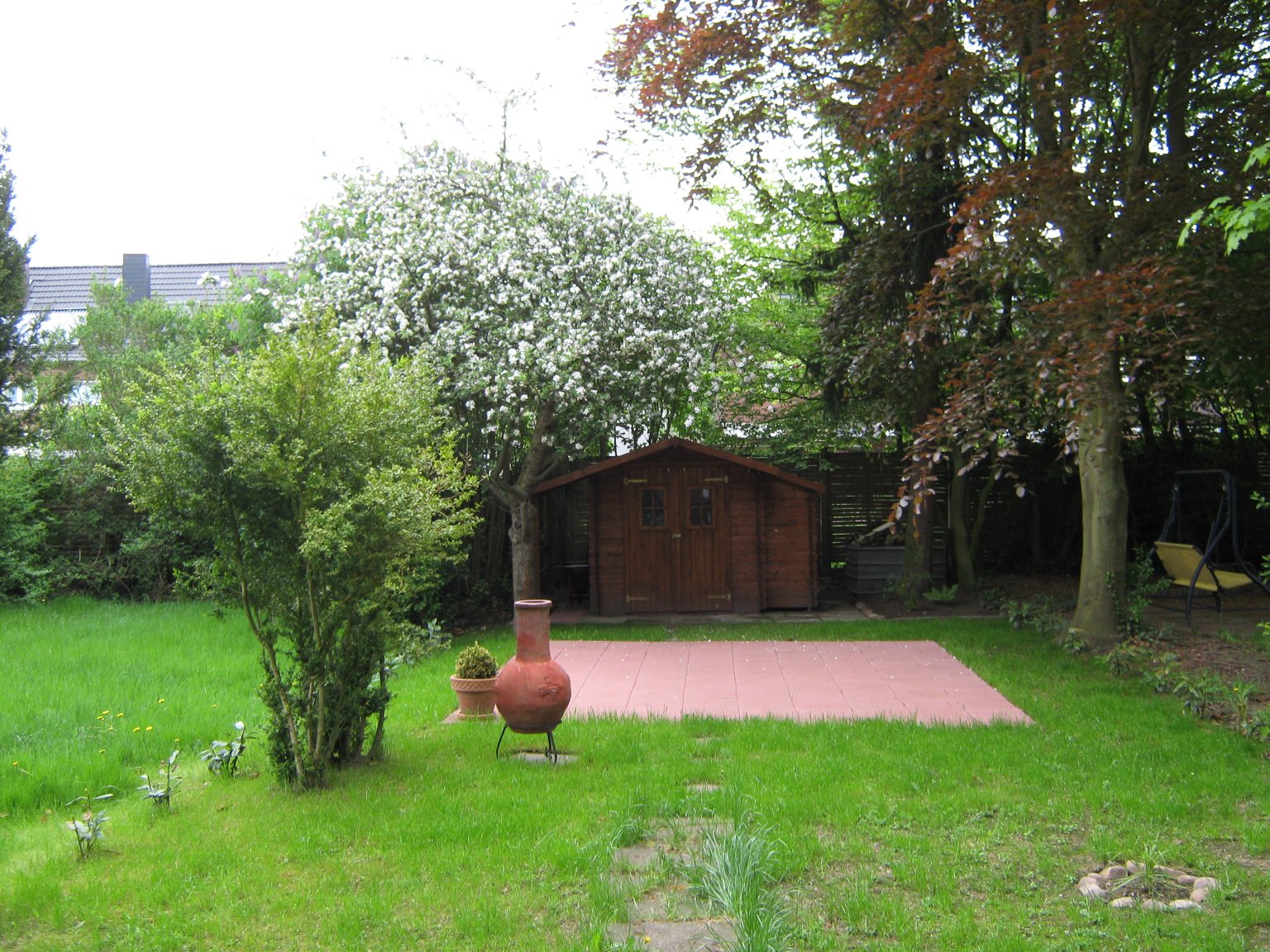 The lawn is getting stronger and our hedges are starting to grow