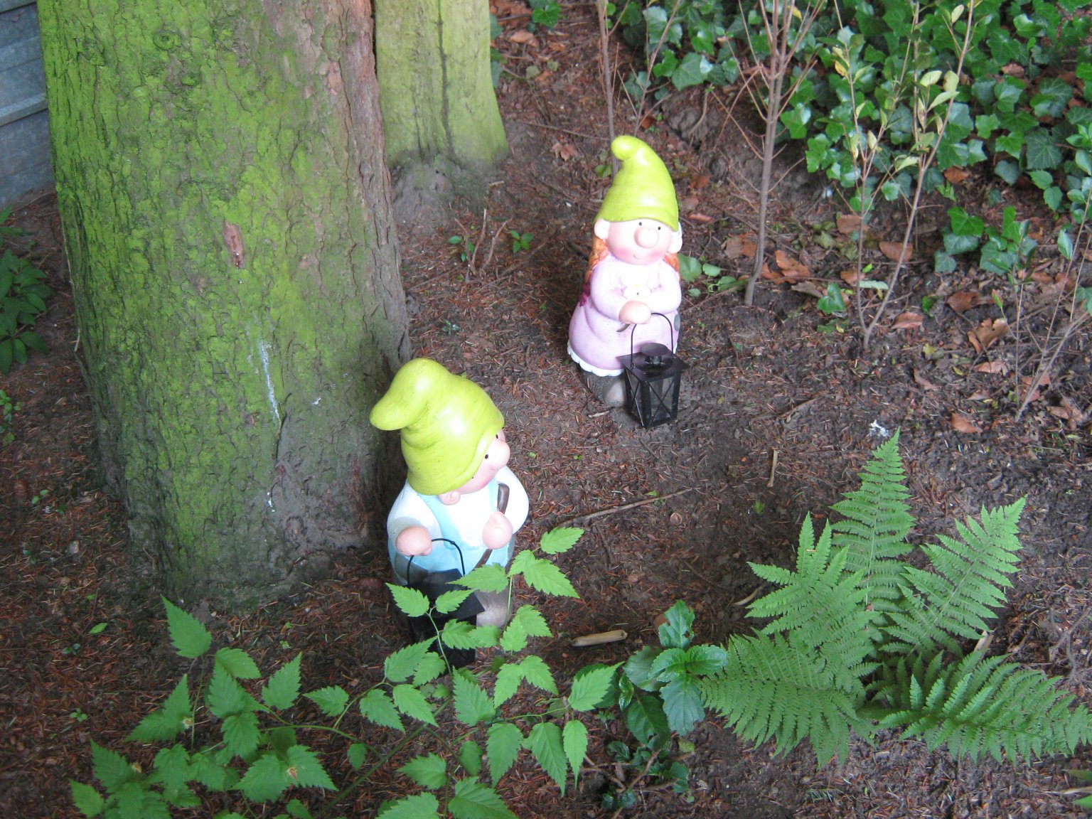 Our new garden gnomes, 'Wolfgang' and 'Irene'