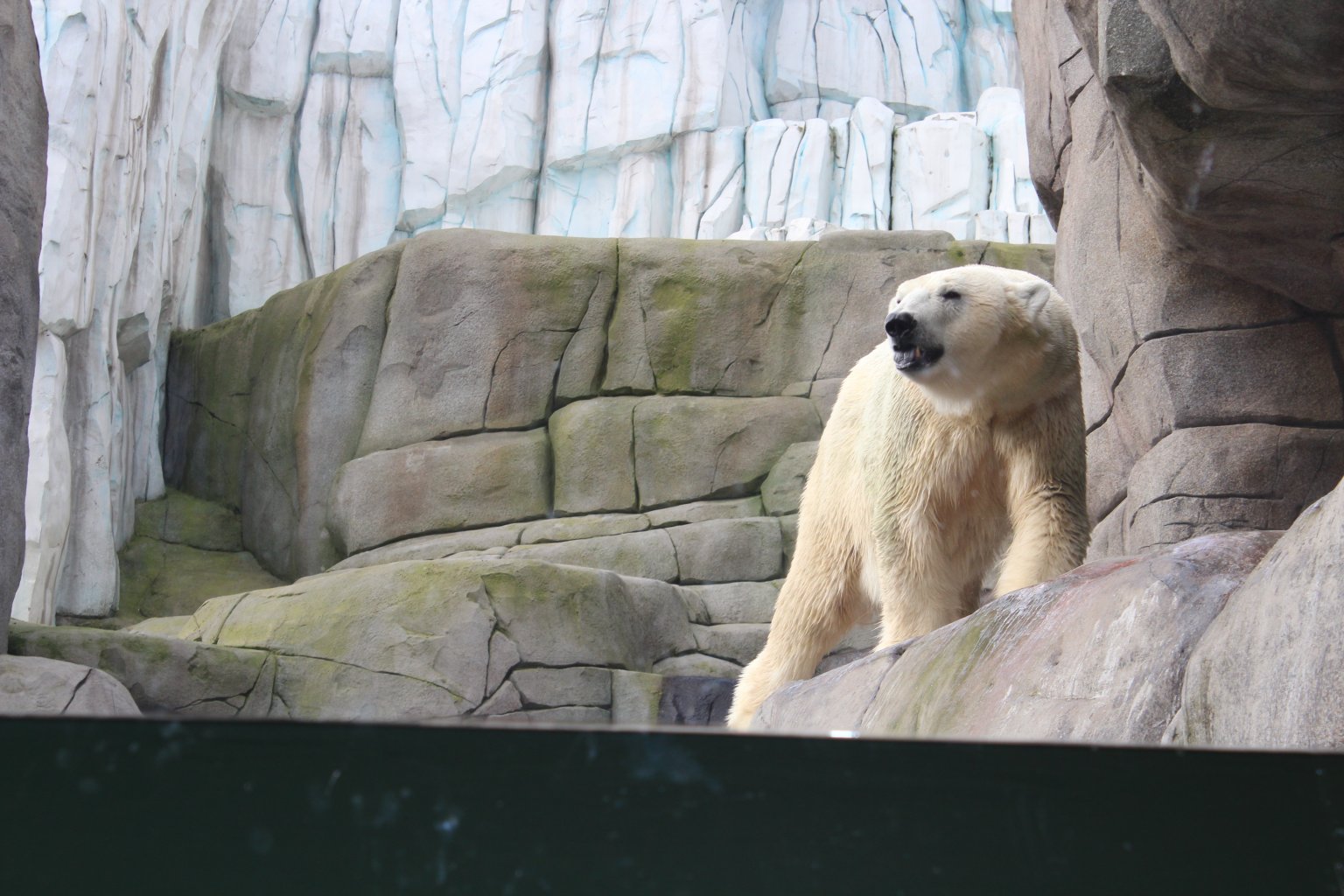 Enclosures are designed to be as realistic as possible