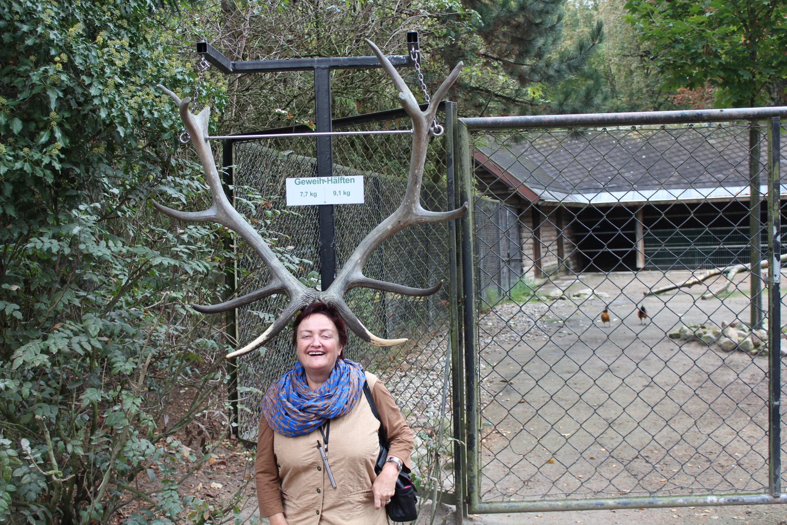 This lesser-spotted Gatti seems to have escaped her enclosure!