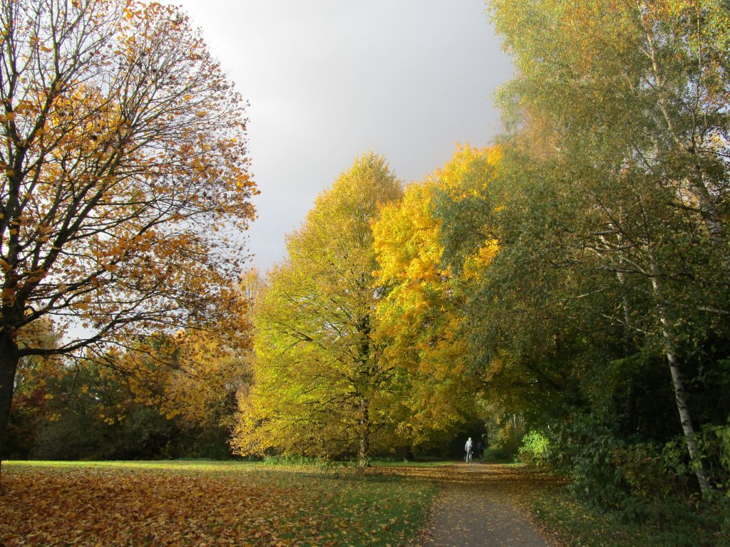 Ohlsdorfer park in Autumn